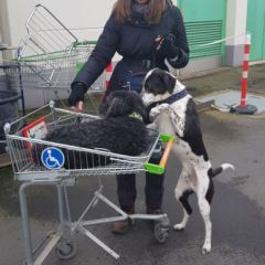 Bilder aus dem Training