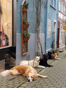 Stadttraining